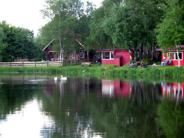 Am Birkensee * Detern