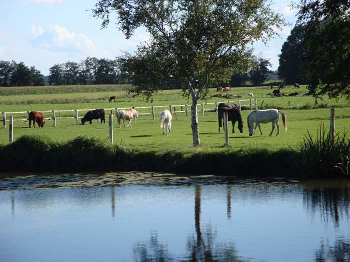 Am Birkensee Gasthuis