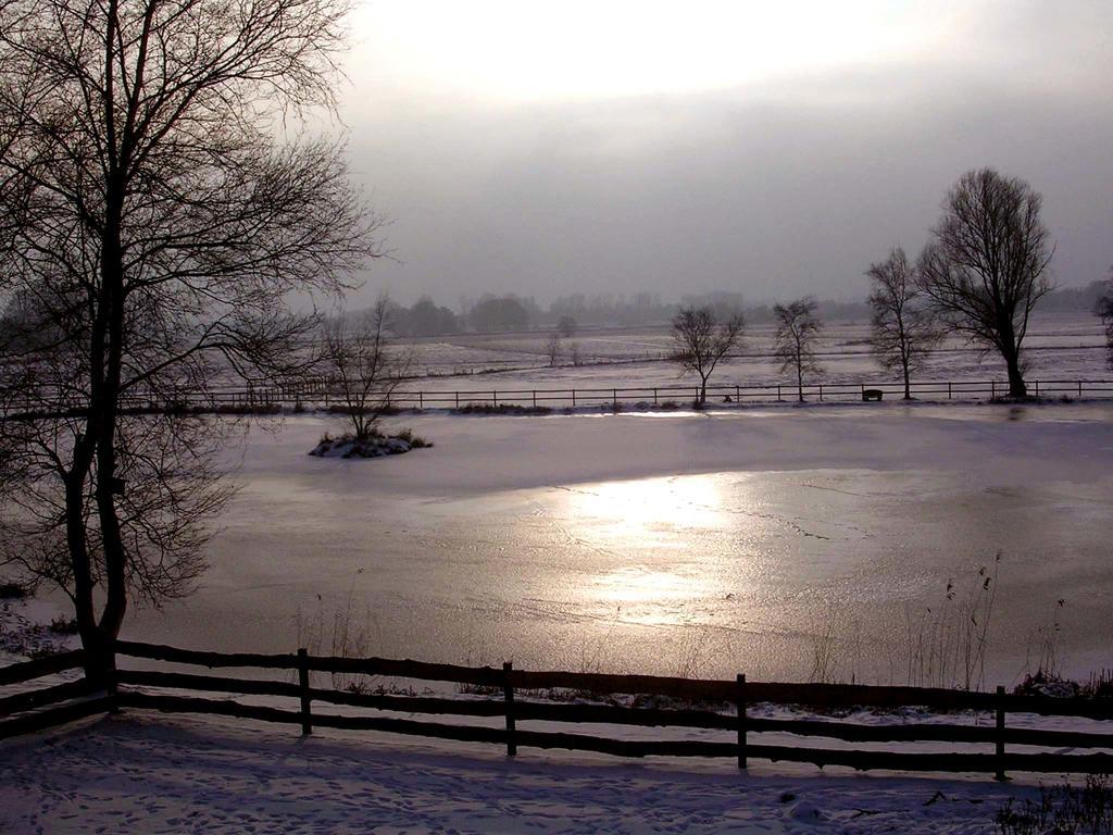 Am Birkensee * Detern